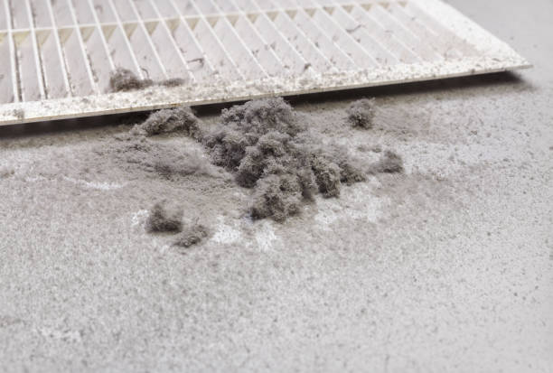 Best Air Duct Cleaning Company Near Me  in Dunnellon, FL