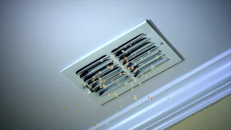Best HVAC System Cleaning  in Dunnellon, FL