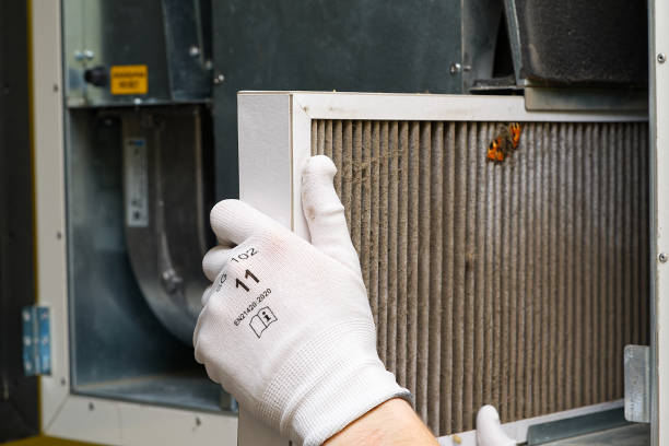 Best Best Air Duct Cleaning Company  in Dunnellon, FL