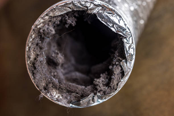 Best Local Air Duct Cleaning Services  in Dunnellon, FL